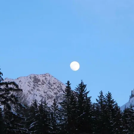 Apartment Waldesruh 2 Zimmerwohnung